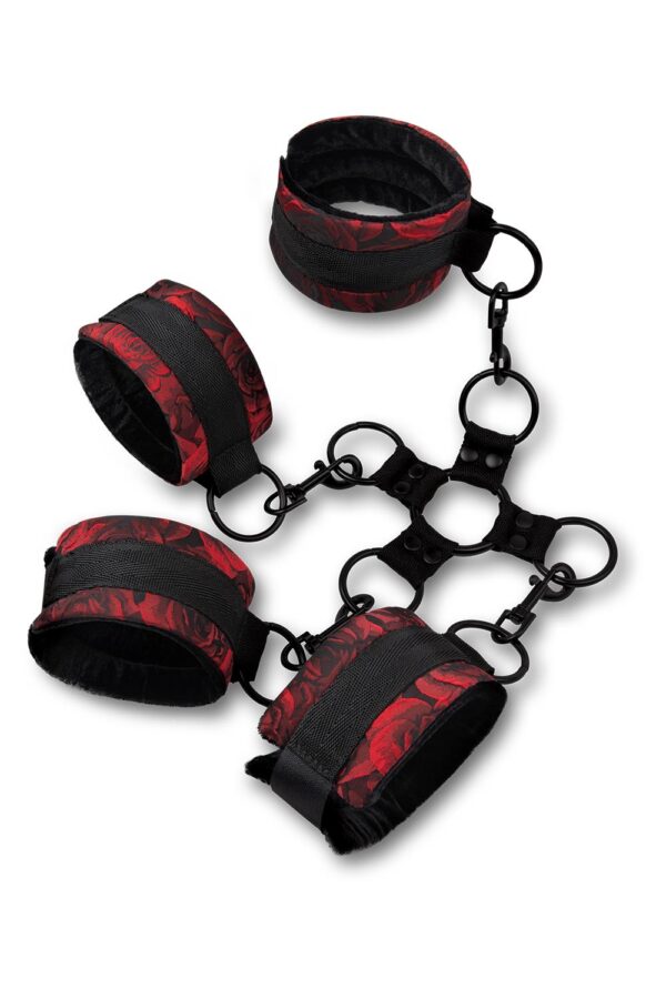 BDSM