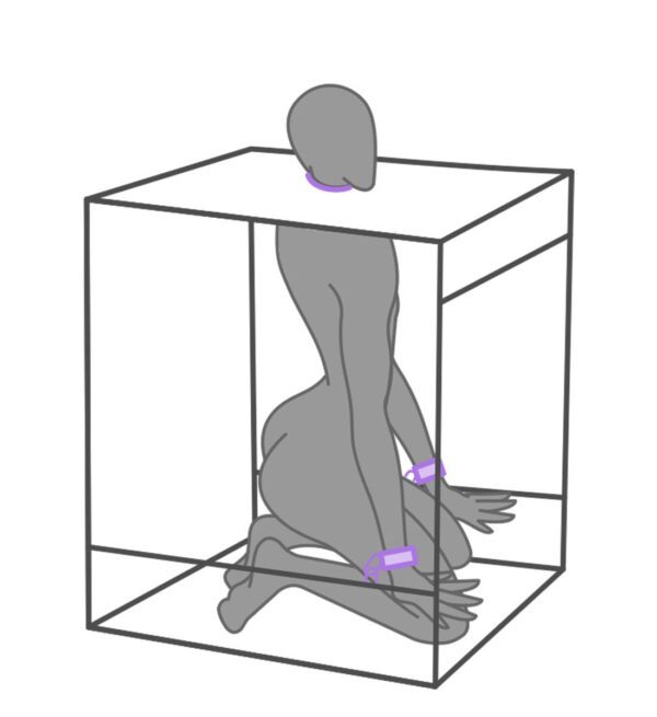 SECRETDOME – BUKKAKE – PAARS - Afbeelding 8