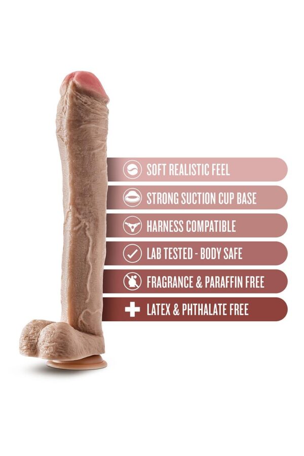 DR. SKIN MR. ED 33 CM DILDO MET BALLEN - Afbeelding 3